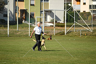 Afra von der schwarzen Mamba