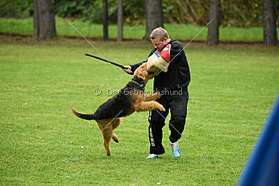 Agent Hunter of Ravenclaw