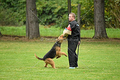 Agent Hunter of Ravenclaw