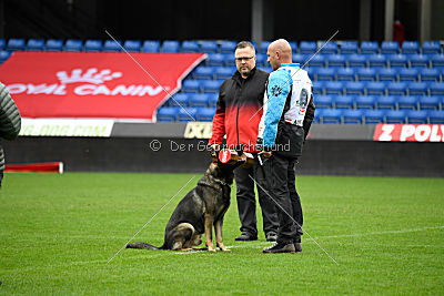 Aik vom Wolfsursprung