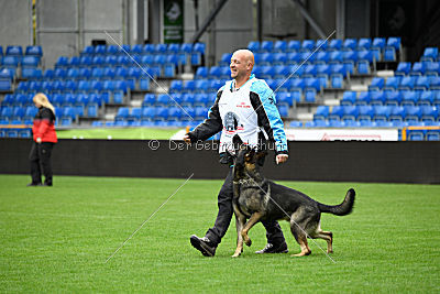 Aik vom Wolfsursprung