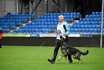 Aik vom Wolfsursprung