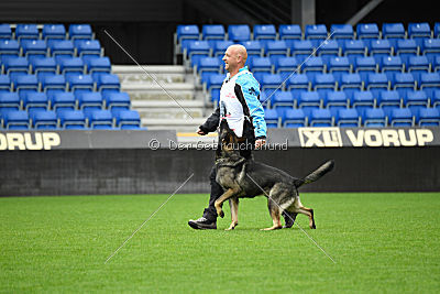 Aik vom Wolfsursprung