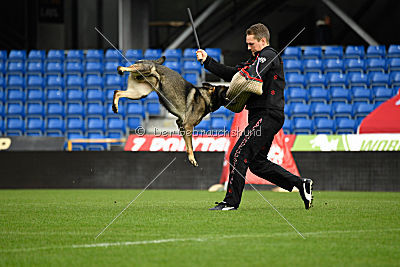 Aik vom Wolfsursprung