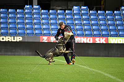 Aik vom Wolfsursprung