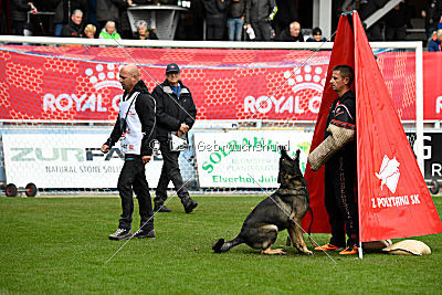 Aik vom Wolfsursprung