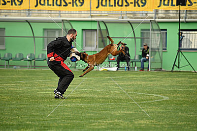 Aik von Winy Garten