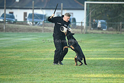 Aika von Bernau Rehberge