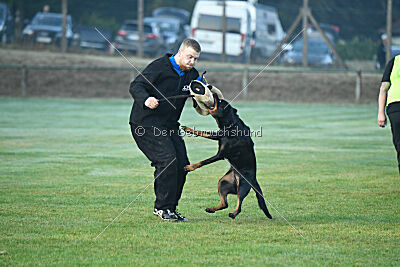 Aika von Bernau Rehberge
