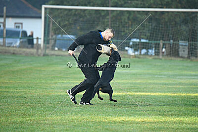 Aika von Bernau Rehberge