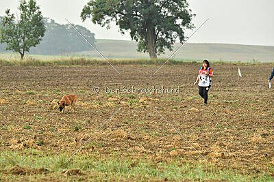 Aikido vom puren Leben