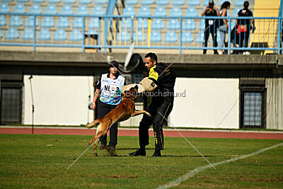 Aikido vom puren Leben