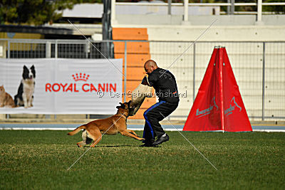 Aikido vom puren Leben