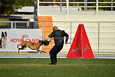 Aikido vom puren Leben