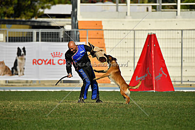 Aikido vom puren Leben