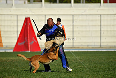 Aikido vom puren Leben