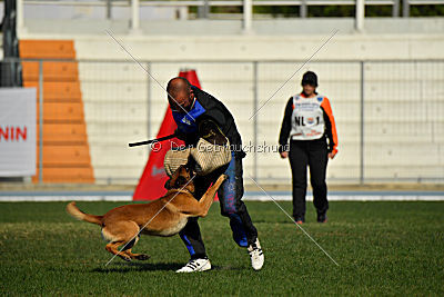 Aikido vom puren Leben