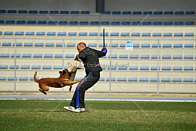 Aikido vom puren Leben