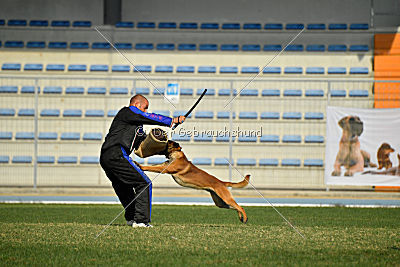 Aikido vom puren Leben