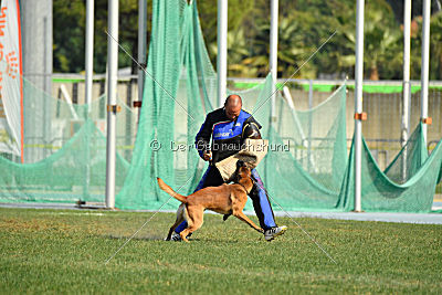 Aikido vom puren Leben