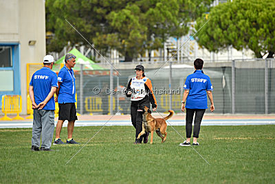 Aikido vom puren Leben