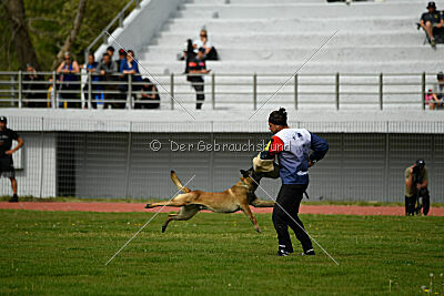 Aikido vom puren Leben