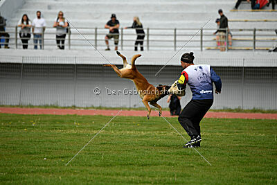 Aikido vom puren Leben