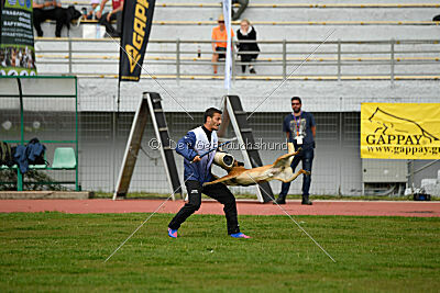 Aikido vom puren Leben