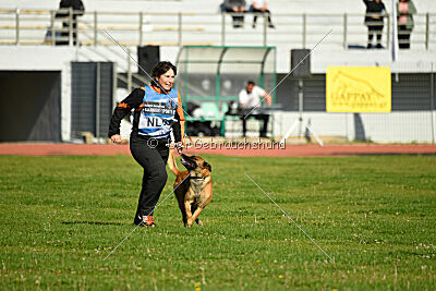 Aikido vom puren Leben