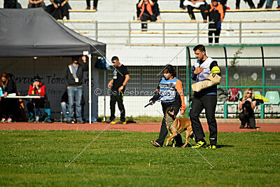 Aikido vom puren Leben
