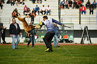 Aikido vom puren Leben