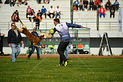 Aikido vom puren Leben