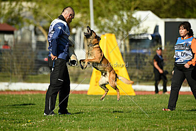 Aikido vom puren Leben