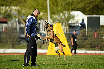 Aikido vom puren Leben
