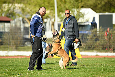 Aikido vom puren Leben