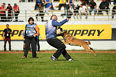 Aikido vom puren Leben