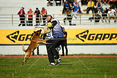 Aikido vom puren Leben