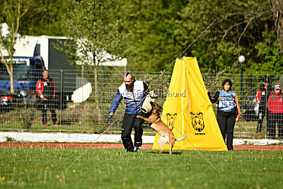 Aikido vom puren Leben