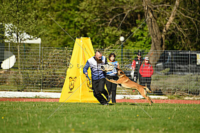 Aikido vom puren Leben