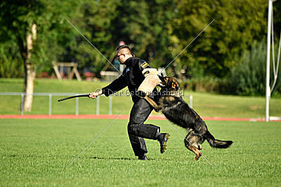 Aiko von der alten Stolzenburg