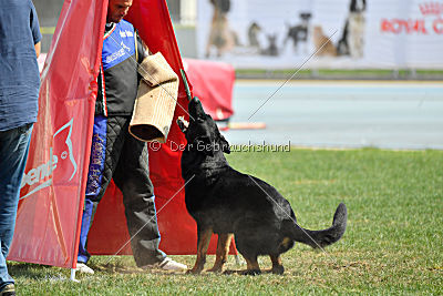 Airon von der Nilo World