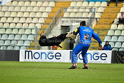 Airon von der Nilo World