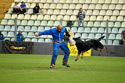 Airon von der Nilo World