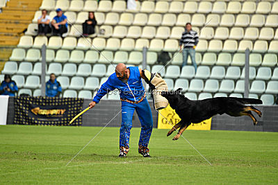 Airon von der Nilo World