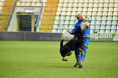 Airon von der Nilo World