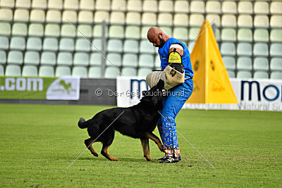 Airon von der Nilo World