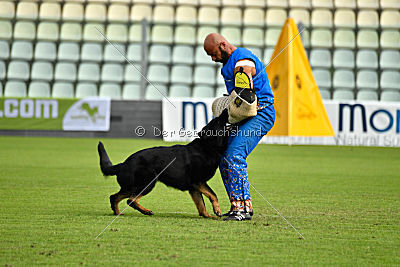 Airon von der Nilo World