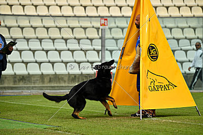 Airon von der Nilo World