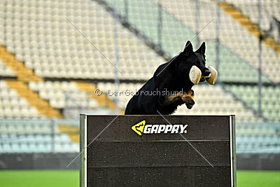 Airon von der Nilo World