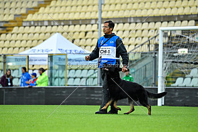 Airon von der Nilo World